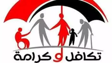 انتخابات مجلس الشيوخ 2025 الاستعلام عن اللجنة بالرقم القومي.. اعرف مكان لجنتك ومواعيد التصويت