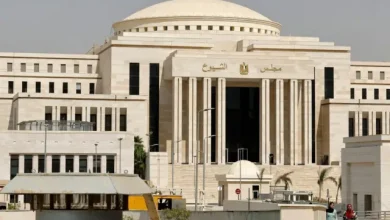 انتخابات مجلس الشيوخ 2025 متى تبدأ وكيف يتم التصويت؟ كل ما تحتاج معرفته قبل الذهاب للانتخابات