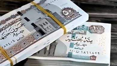 الاستعلام عن المرتب في مصر عبر موقع وزارة المالية