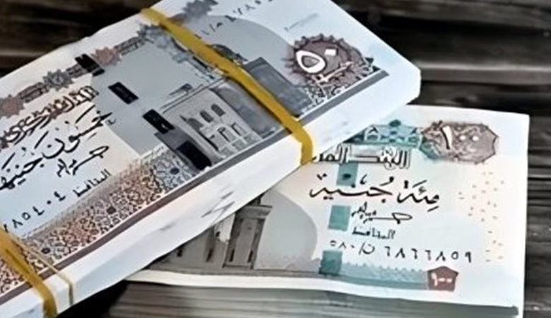 الاستعلام عن المرتب في مصر عبر موقع وزارة المالية